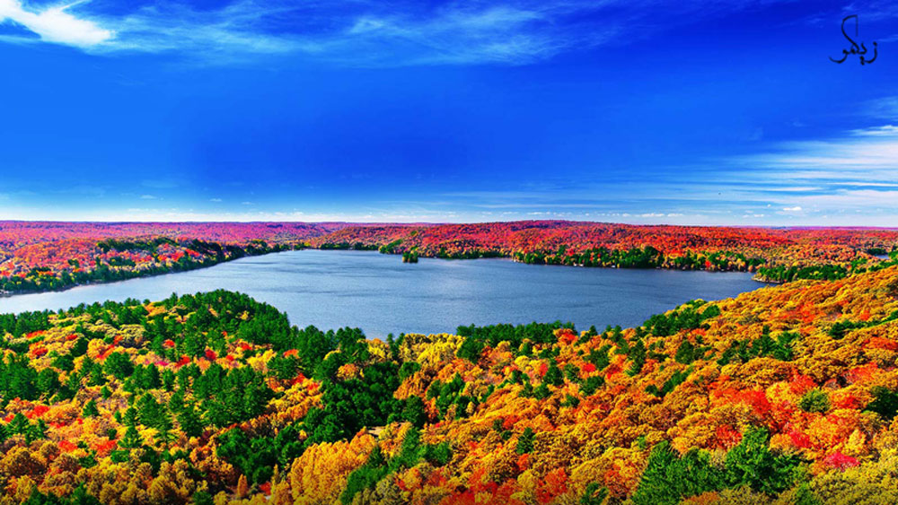 تلویزیون-رول-شدنی-ال-جی-با-قیمت-دو-و-نیم-میلیاردی-همچنان-بدون-رقیب-می‌تازد- _ زیگمو