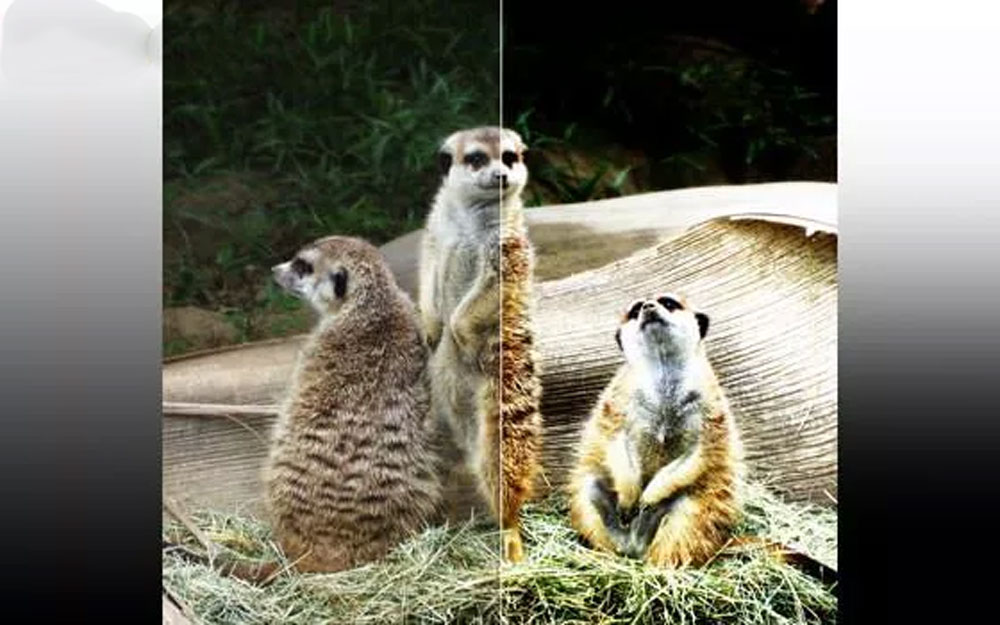 چگونه هنگام خرید تلویزیون تصویر درست را از غلط تشخیص دهیم؟ _ زیگمو 