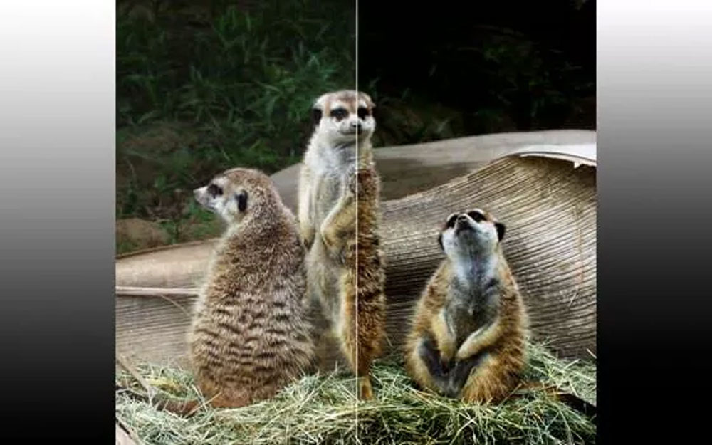 چگونه هنگام خرید تلویزیون تصویر درست را از غلط تشخیص دهیم؟ _ زیگمو 