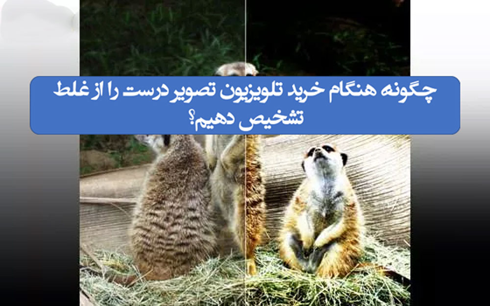 چگونه هنگام خرید تلویزیون تصویر درست را از غلط تشخیص دهیم؟ _ زیگمو